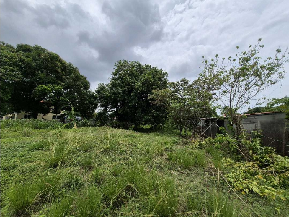 Venta de terreno de 1,000 metros en Juan Diaz - 4