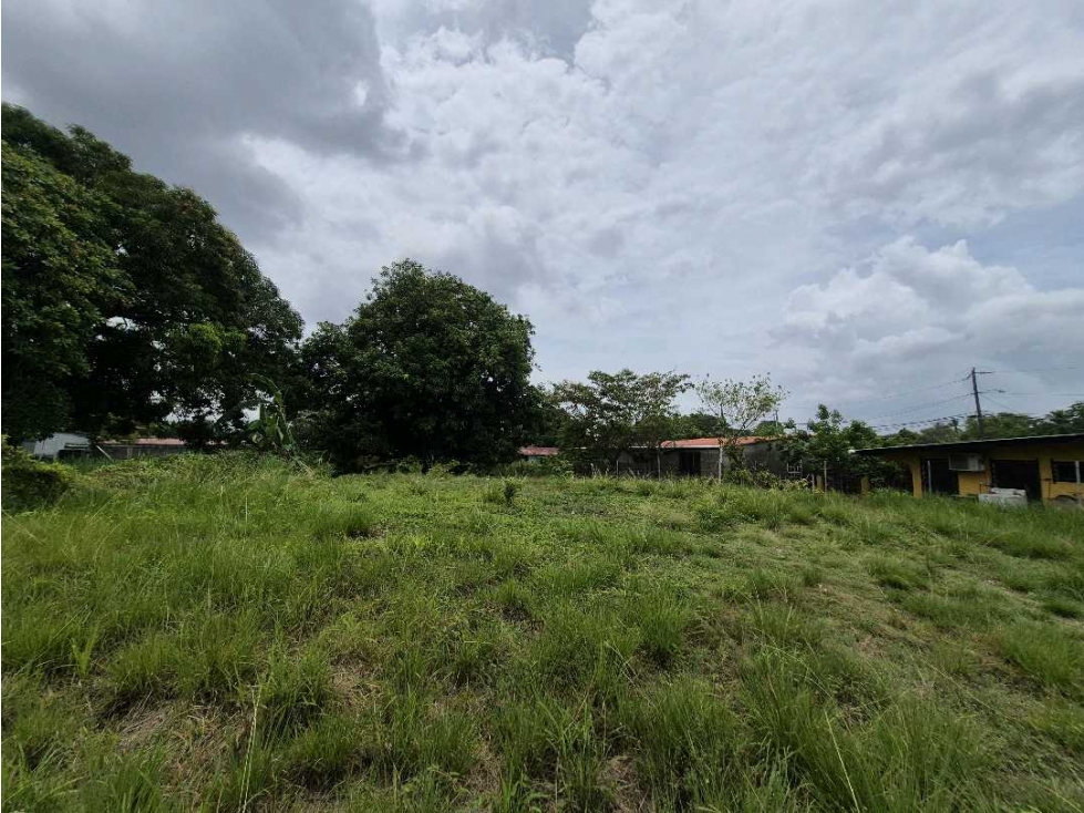 Venta de terreno de 1,000 metros en Juan Diaz - 5