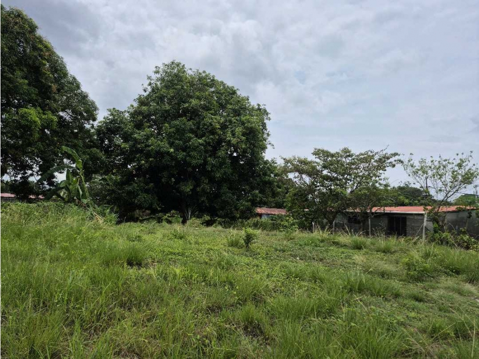 Venta de terreno de 1,000 metros en Juan Diaz - 6