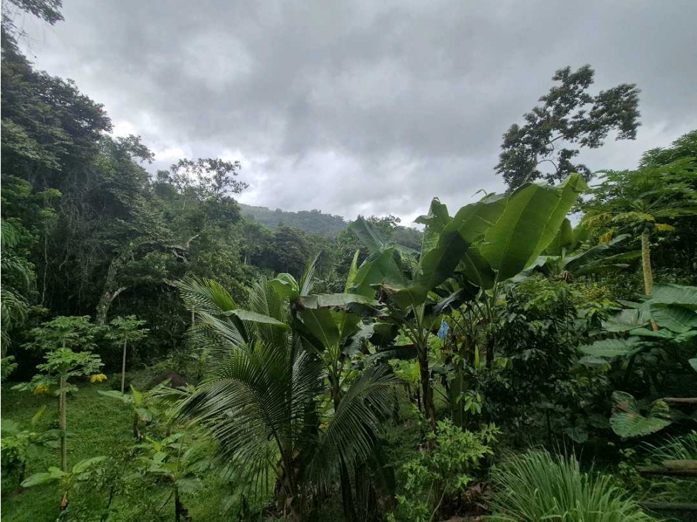 Venta de Terreno de 1 hectárea+ 5,326 mts en El Cacao/ Capira — foto 5