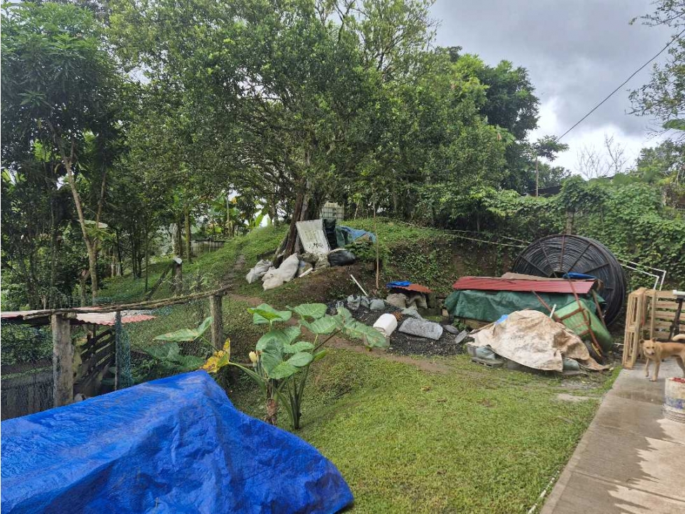 Venta de Terreno de 1 hectárea+ 5,326 mts en El Cacao/ Capira — foto 6