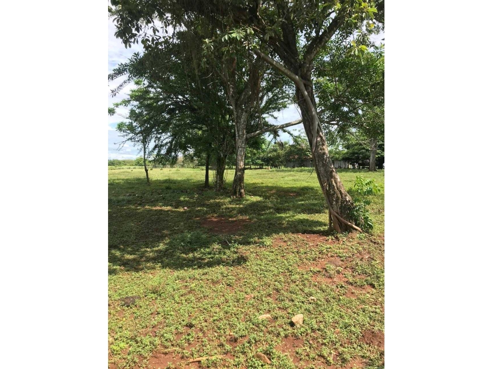 VENTA DE TERRENO DE 38,284 METROS EN MONTILLA — foto 2