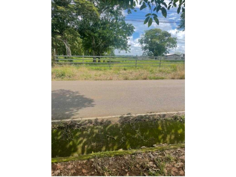 VENTA DE TERRENO DE 38,284 METROS EN MONTILLA — foto 4