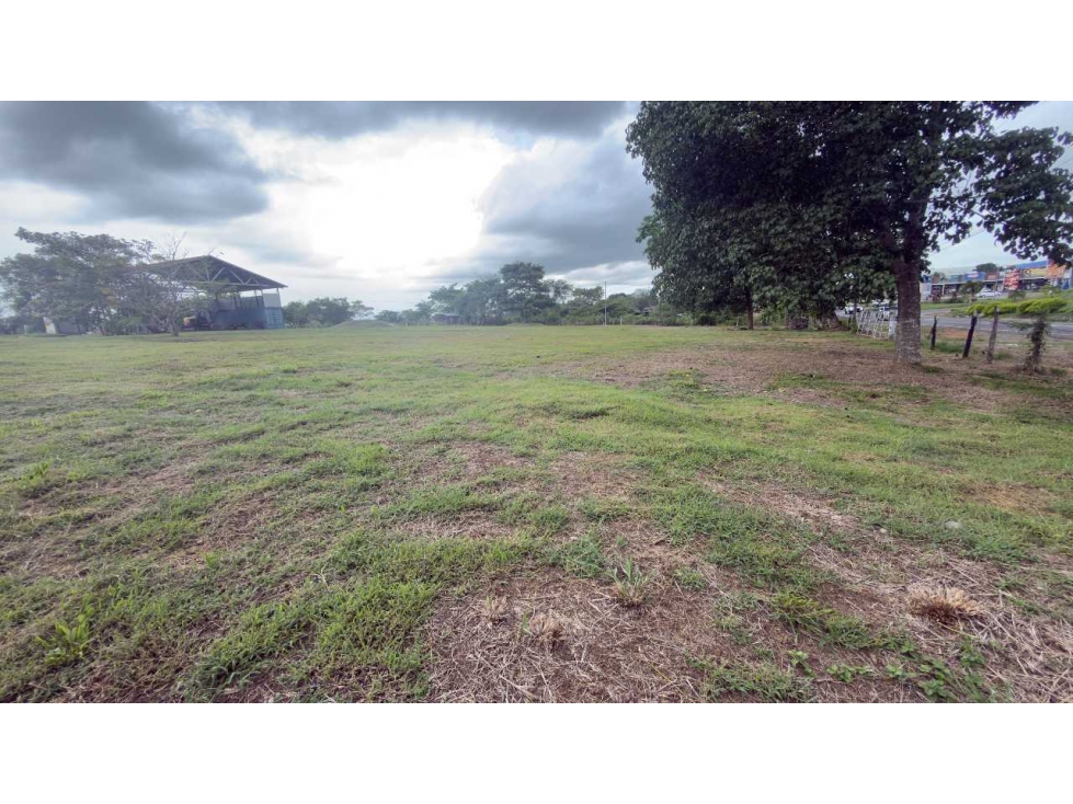 VENTA DE TERRENO EN ALGARROBOS - 1