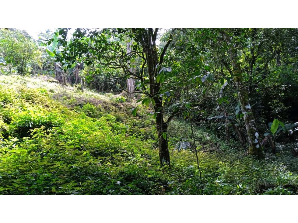 VENTA DE TERRENO EN ALTO BOQUETE - 3