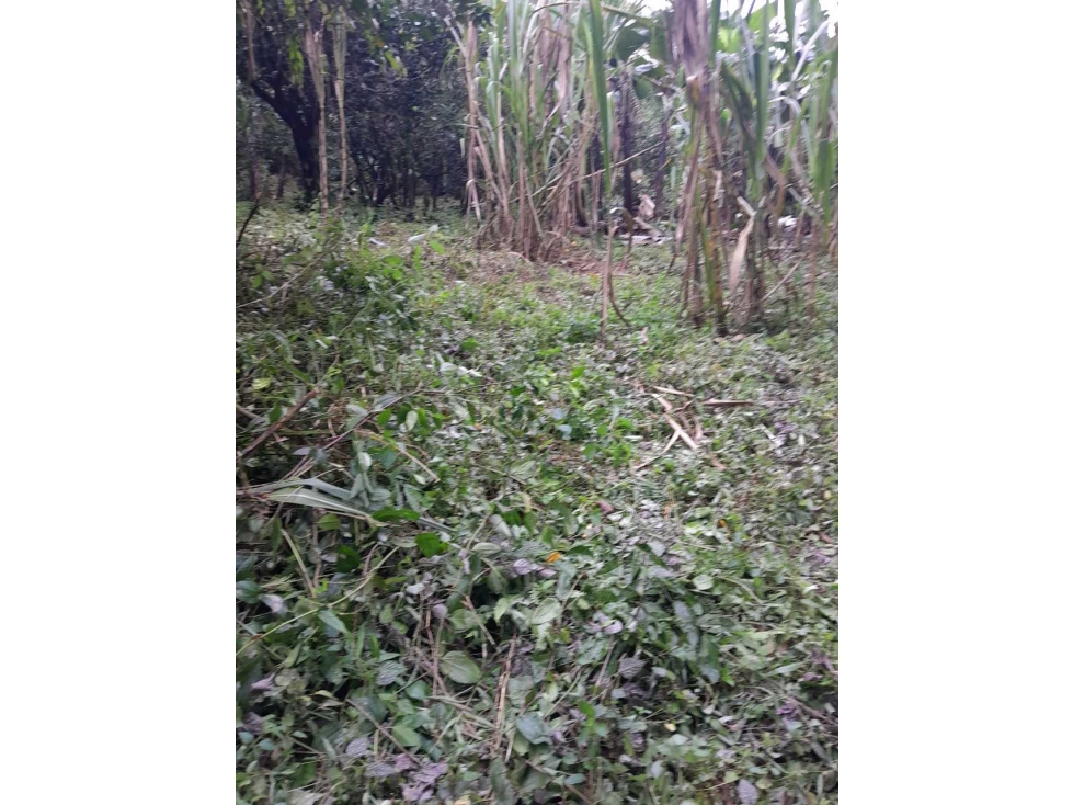 VENTA DE TERRENO EN ALTO BOQUETE - 4
