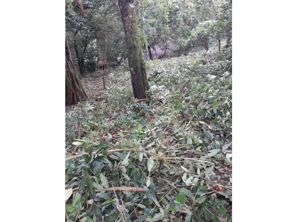 VENTA DE TERRENO EN ALTO BOQUETE - 5