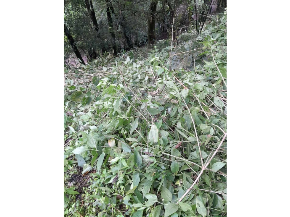 VENTA DE TERRENO EN ALTO BOQUETE - 6