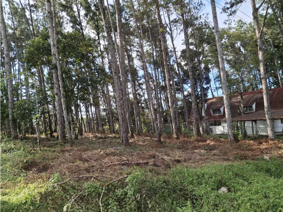 Venta de Terreno en Altos de Cerro Azul - 2