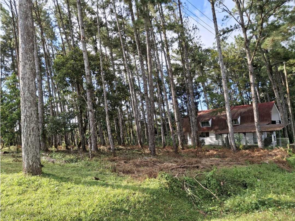 Venta de Terreno en Altos de Cerro Azul - 3