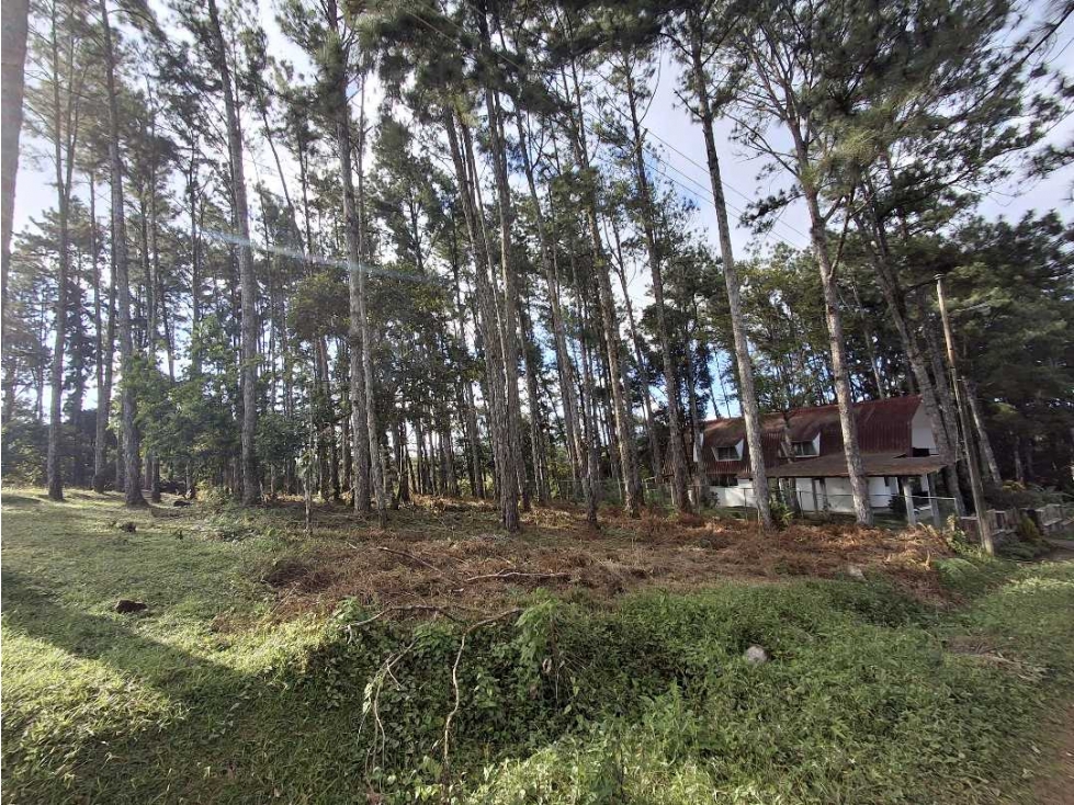 Venta de Terreno en Altos de Cerro Azul - 4