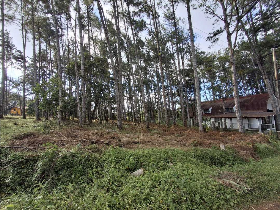 Venta de Terreno en Altos de Cerro Azul - 1