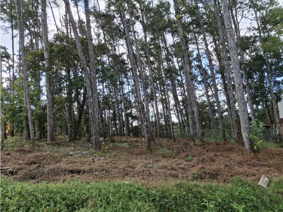 Venta de Terreno en Altos de Cerro Azul - 5