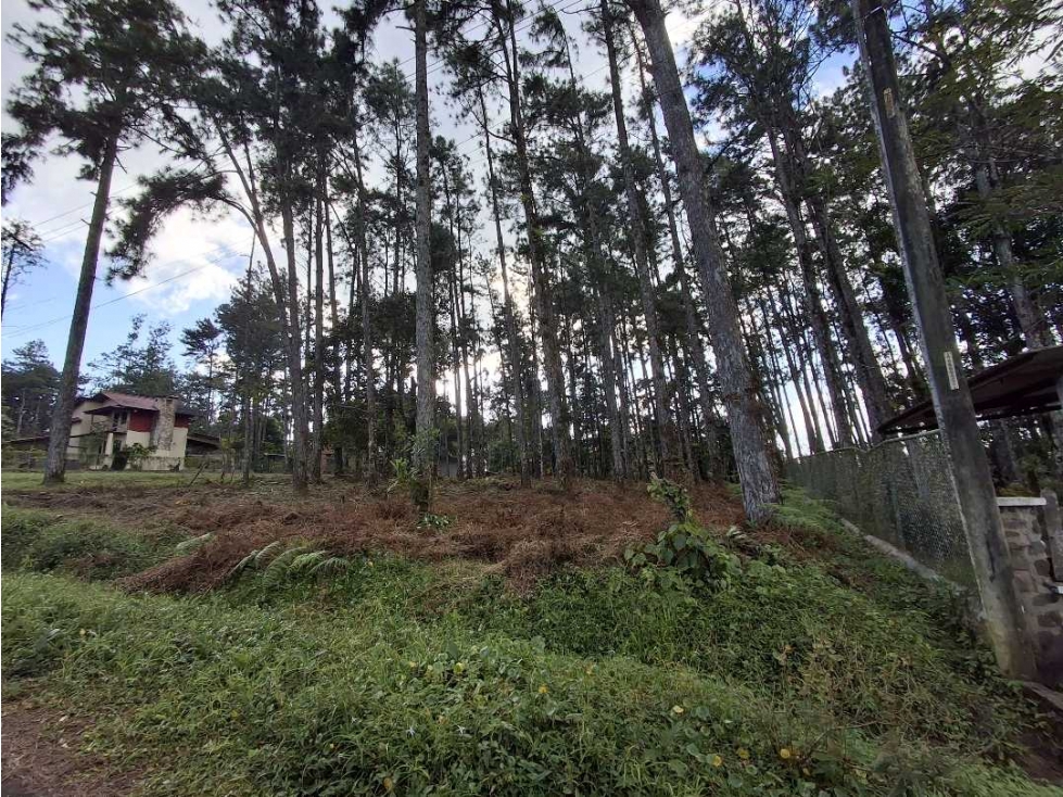 Venta de Terreno en Altos de Cerro Azul - 6