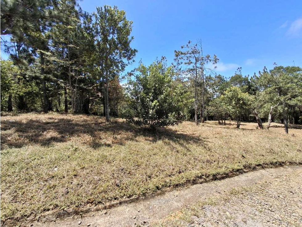 Venta de Terreno en Altos de Cerro Azul - 1