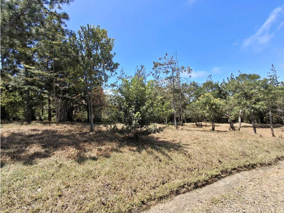 Venta de Terreno en Altos de Cerro Azul - 2