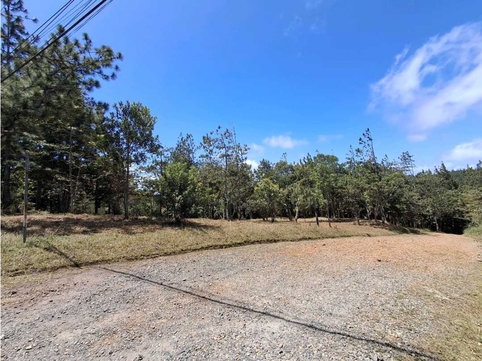 Venta de Terreno en Altos de Cerro Azul - 3