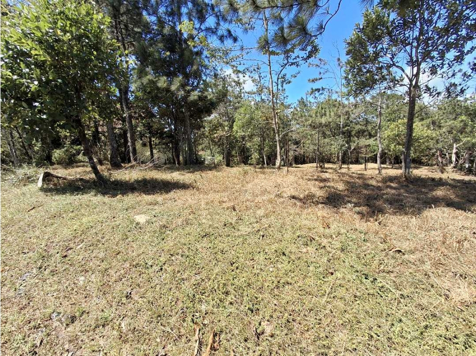 Venta de Terreno en Altos de Cerro Azul - 4