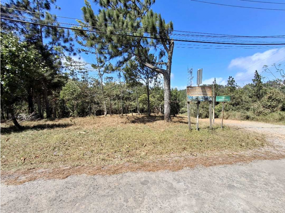 Venta de Terreno en Altos de Cerro Azul - 5