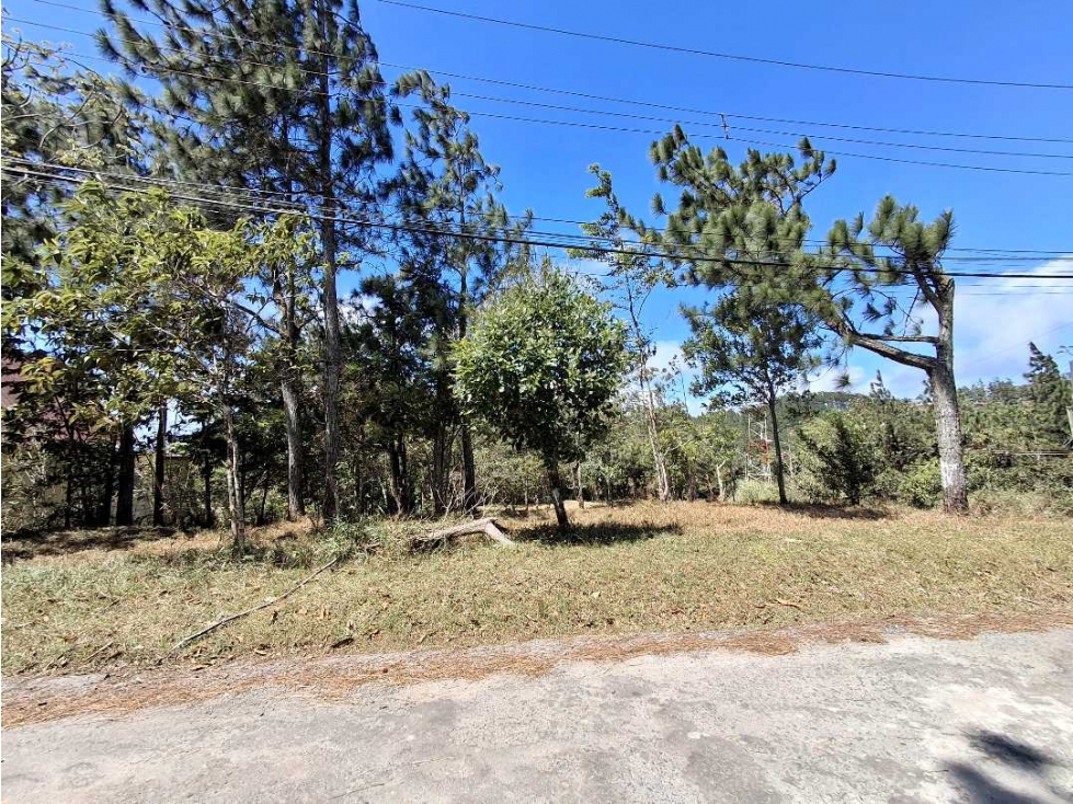 Venta de Terreno en Altos de Cerro Azul - 6