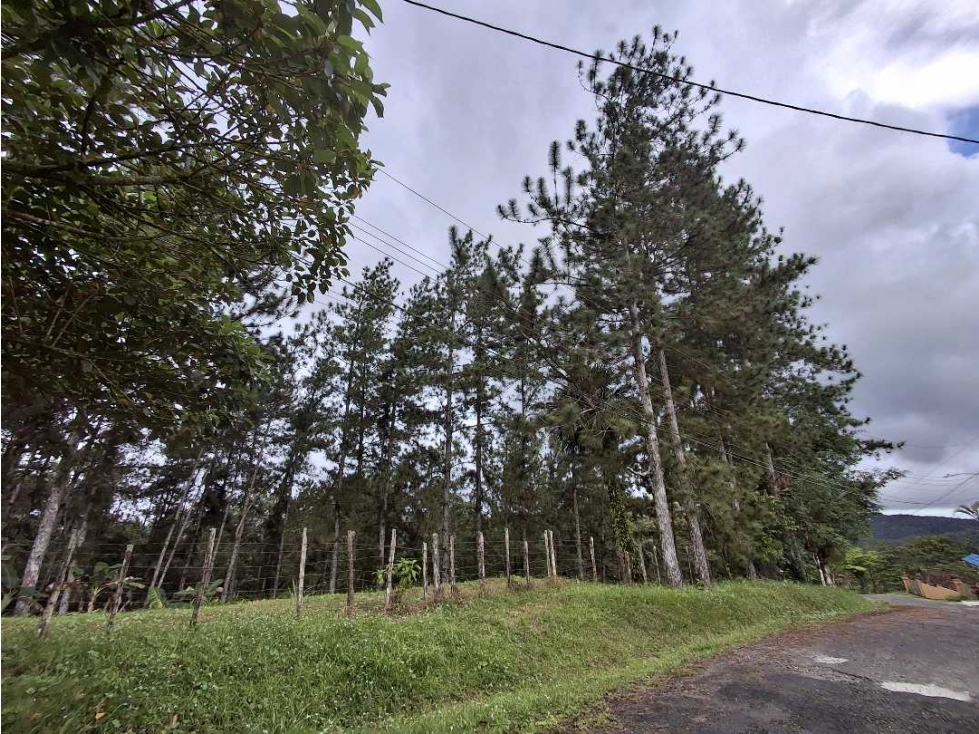 Venta de terreno en Altos de Cerro Azul — foto 2
