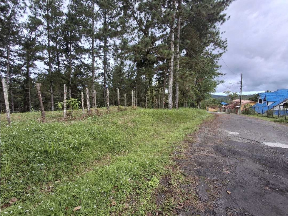 Venta de terreno en Altos de Cerro Azul — foto 3