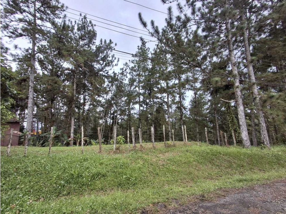 Venta de terreno en Altos de Cerro Azul — foto 4