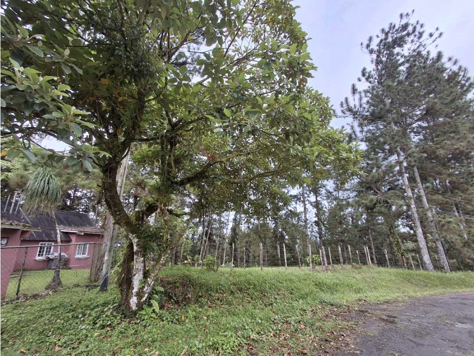 Venta de terreno en Altos de Cerro Azul — foto 5