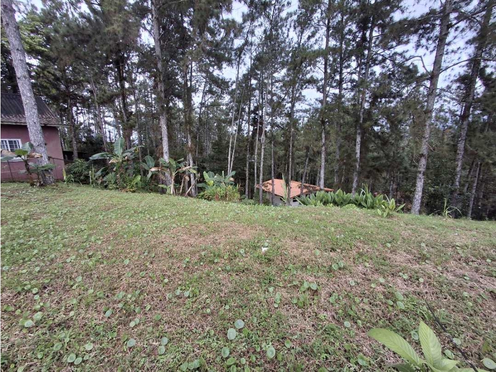 Venta de terreno en Altos de Cerro Azul — foto 6