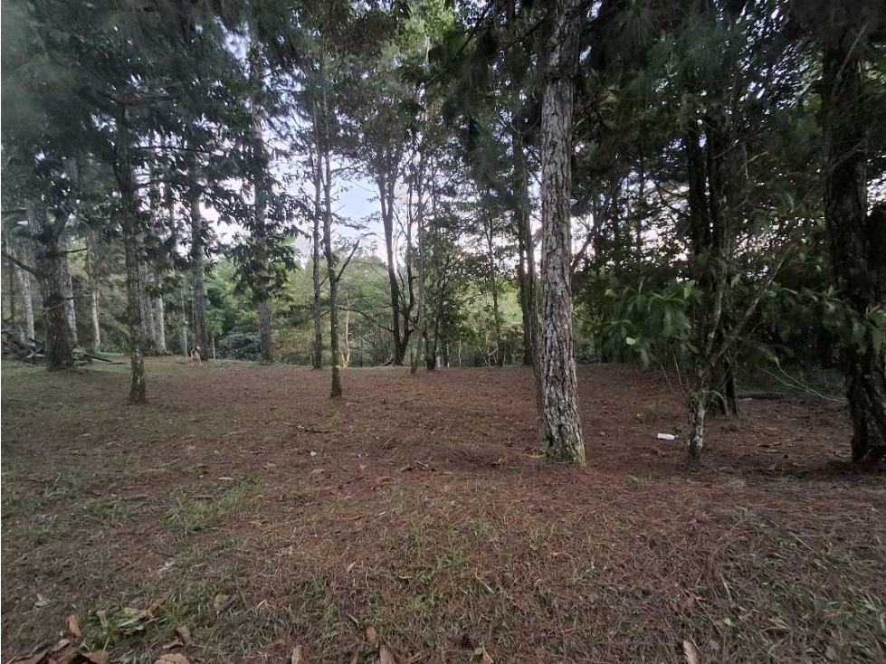 Venta de terreno en Altos de Cerro Azul Panama - 1