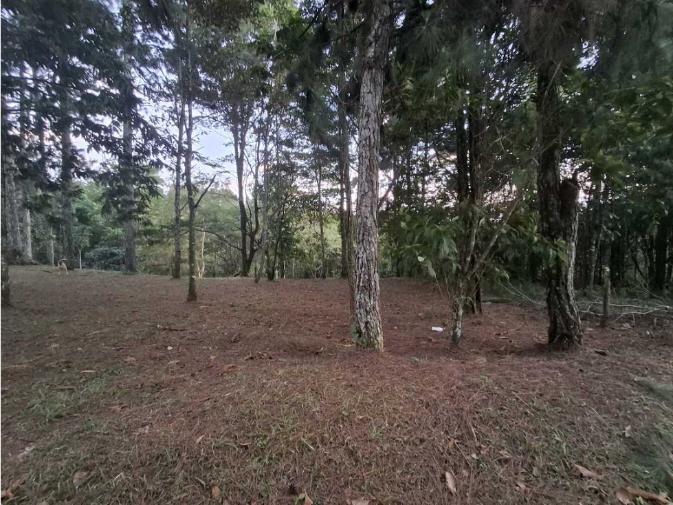 Venta de terreno en Altos de Cerro Azul Panama - 3