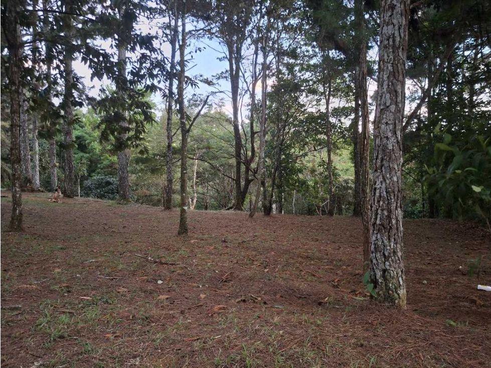 Venta de terreno en Altos de Cerro Azul Panama - 4