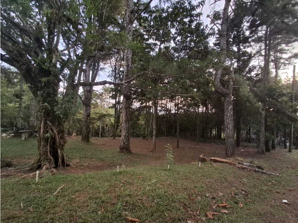 Venta de terreno en Altos de Cerro Azul Panama - 5