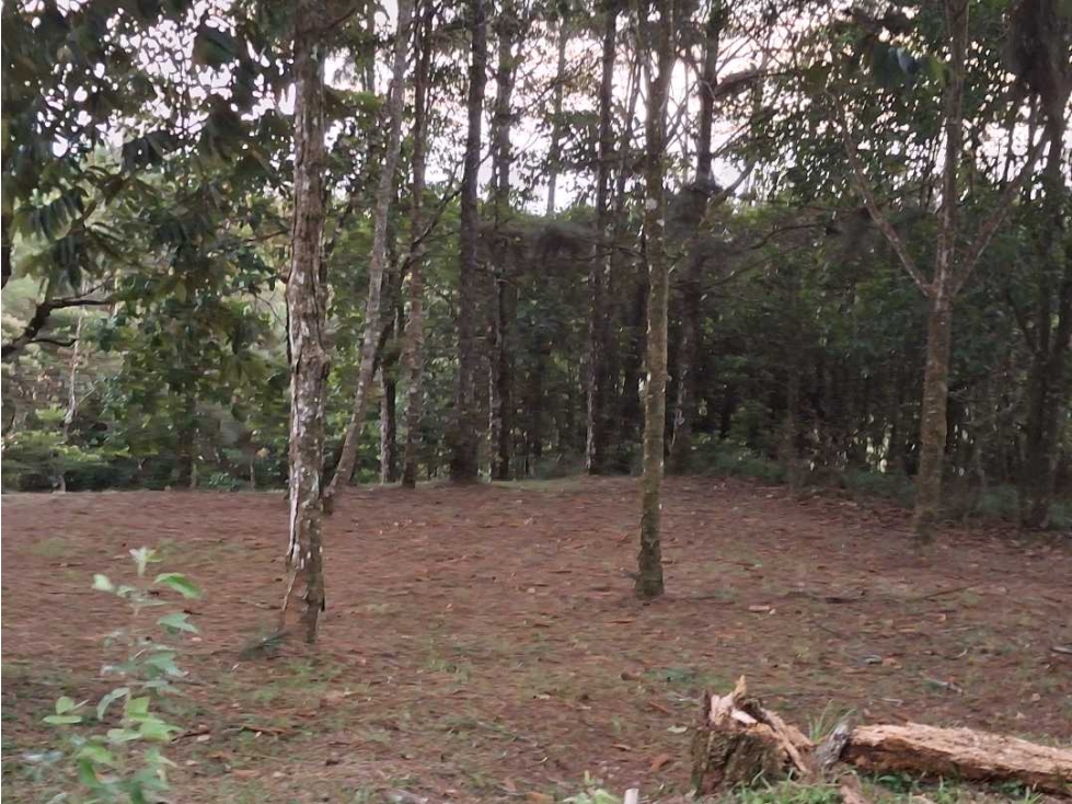 Venta de terreno en Altos de Cerro Azul Panama - 6
