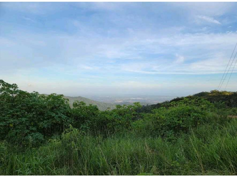 Venta de Terreno en Altos de Cerro Azul - 1