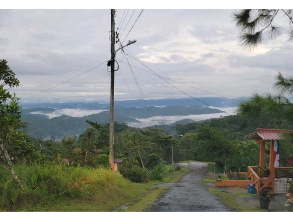 Venta de Terreno en Altos de Cerro Azul - 2