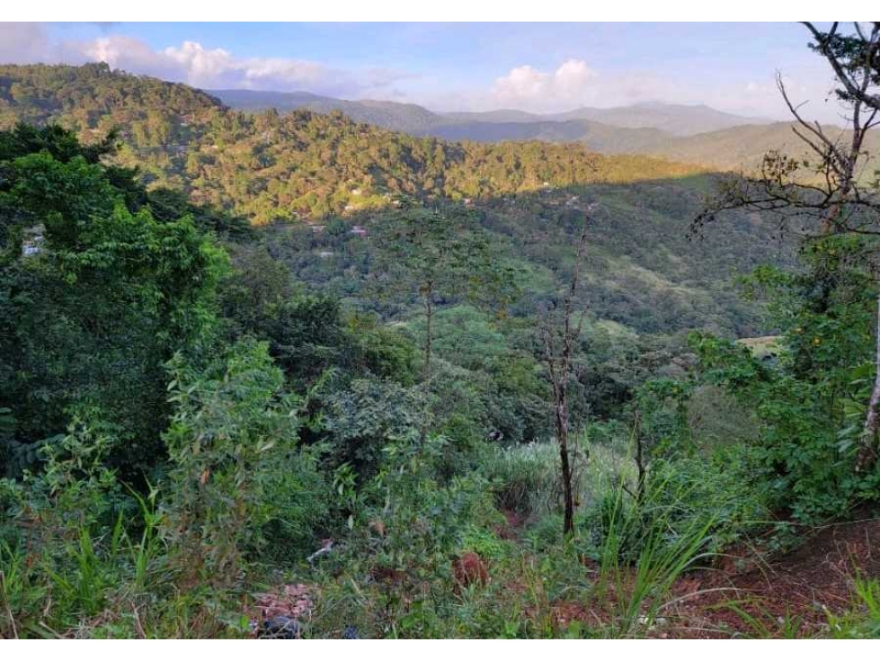 Venta de Terreno en Altos de Cerro Azul - 4