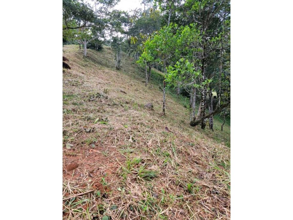 Venta de Terreno en Altos de Cerro Azul - 6