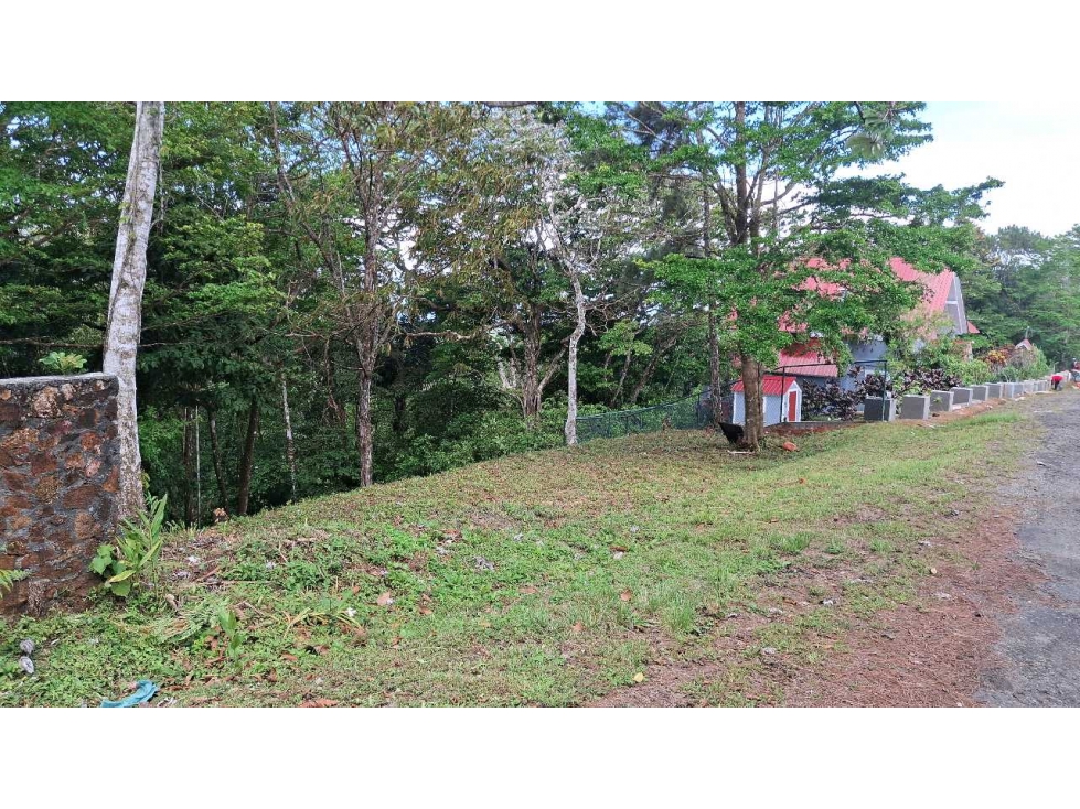 Venta de terreno en Altos de Cerro Azul - 1