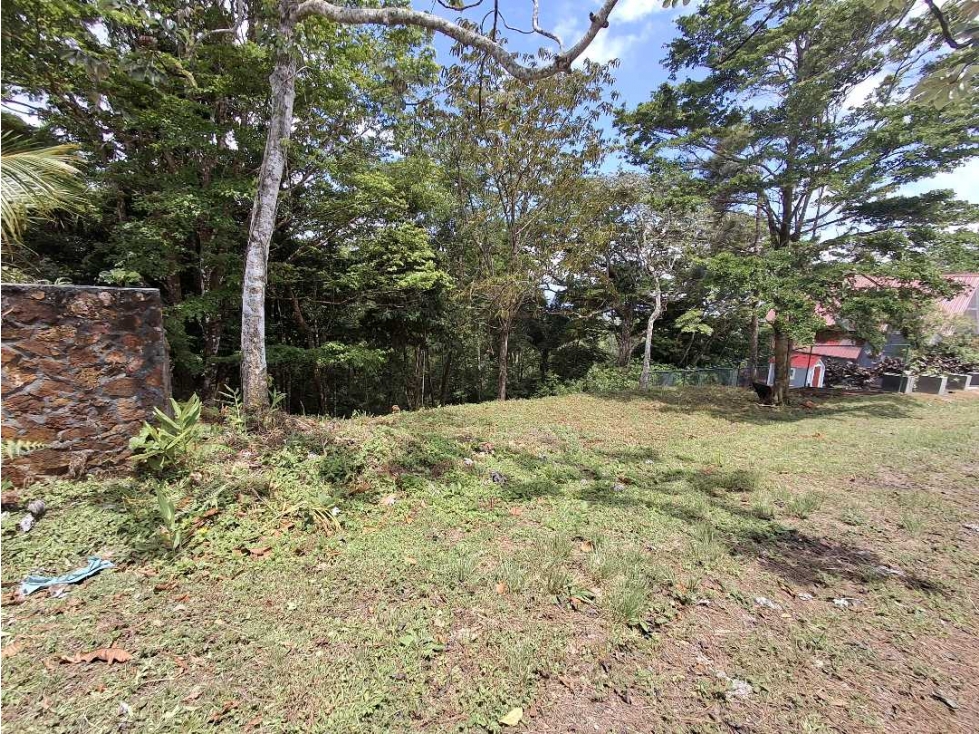 Venta de terreno en Altos de Cerro Azul - 2