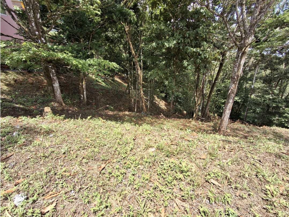 Venta de terreno en Altos de Cerro Azul - 4