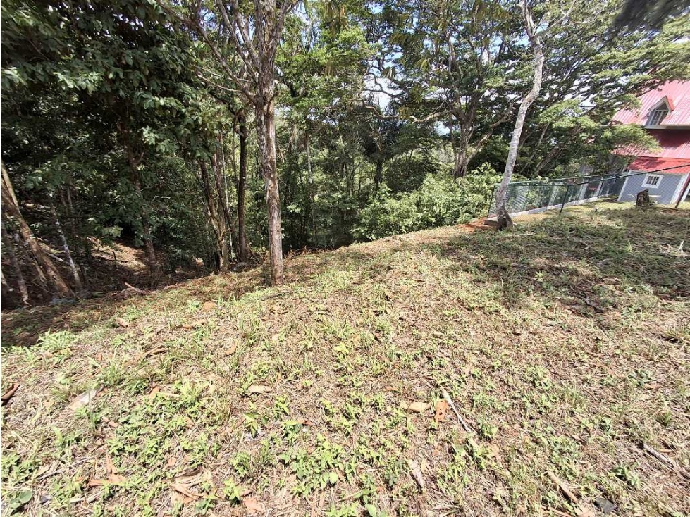 Venta de terreno en Altos de Cerro Azul - 5