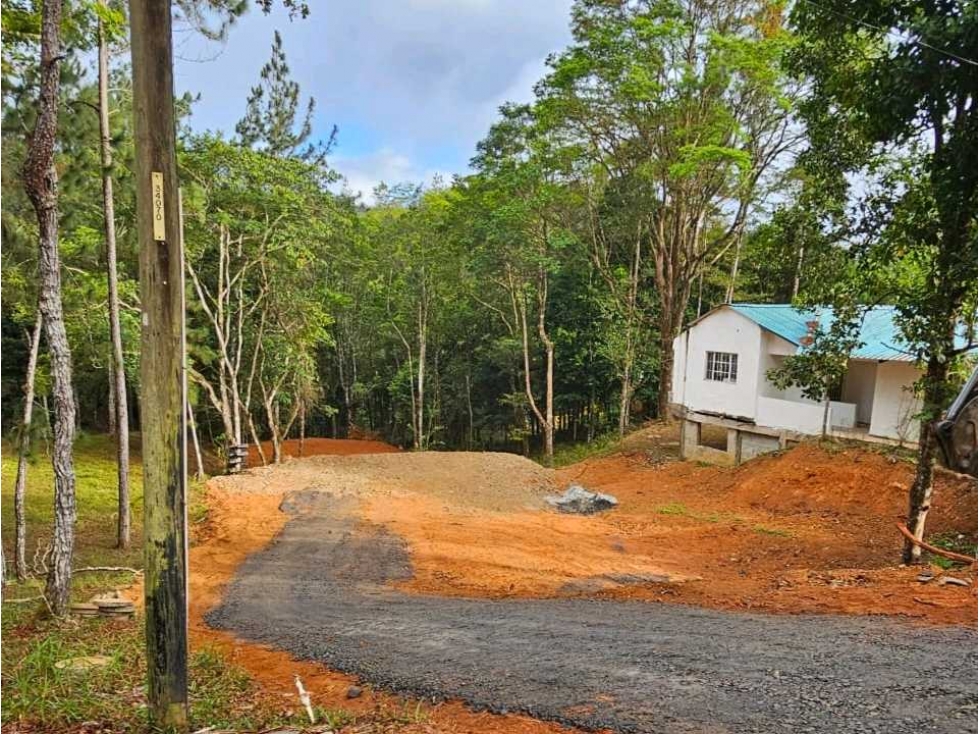 VENTA DE TERRENO EN ALTOS DE CERRO AZUL 1273M2 NRR - 3