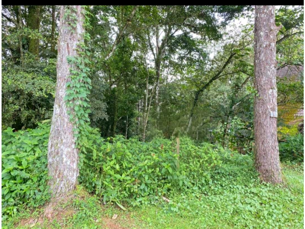 VENTA DE TERRENO EN ALTOS DE CERRO AZUL 1162M2 NRR - 3