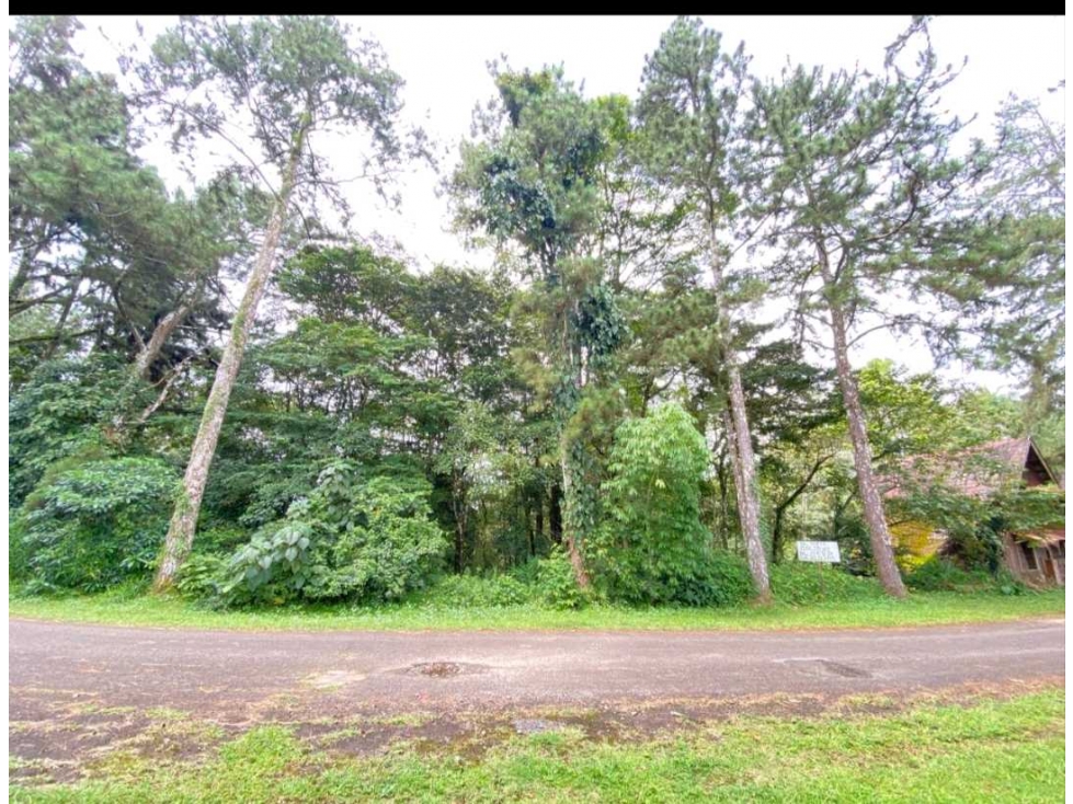 VENTA DE TERRENO EN ALTOS DE CERRO AZUL 1162M2 NRR - 4