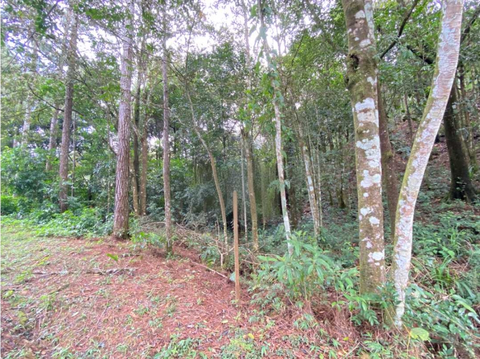 VENTA DE TERRENO EN ALTOS DE CERRO AZUL 1162M2 NRR - 1