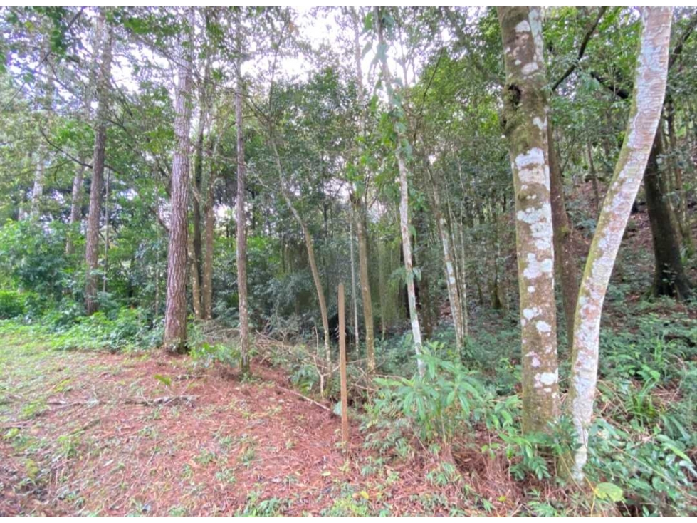 VENTA DE TERRENO EN ALTOS DE CERRO AZUL 1162M2 NRR - 5