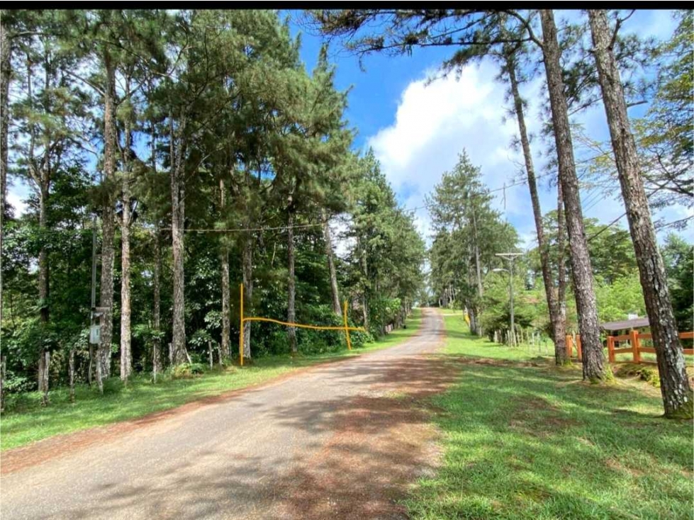 VENTA DE TERRENO EN ALTOS DE CERRO AZUL 1244.27M2 NRR - 1