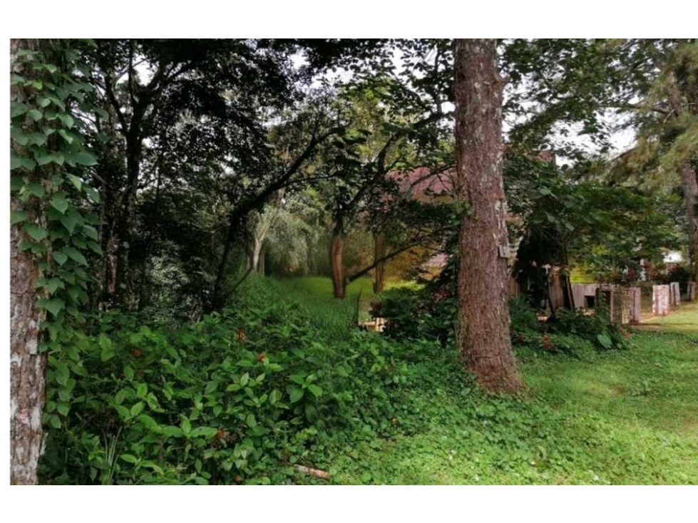 VENTA DE TERRENO EN ALTOS DE CERRO AZUL 1244.27M2 NRR - 3