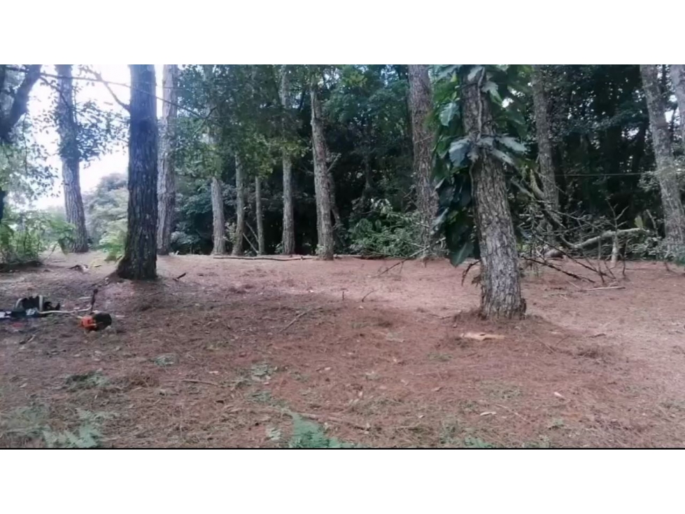 VENTA DE TERRENO EN ALTOS DEL MARIA 2,432.63M2 CV — foto 5